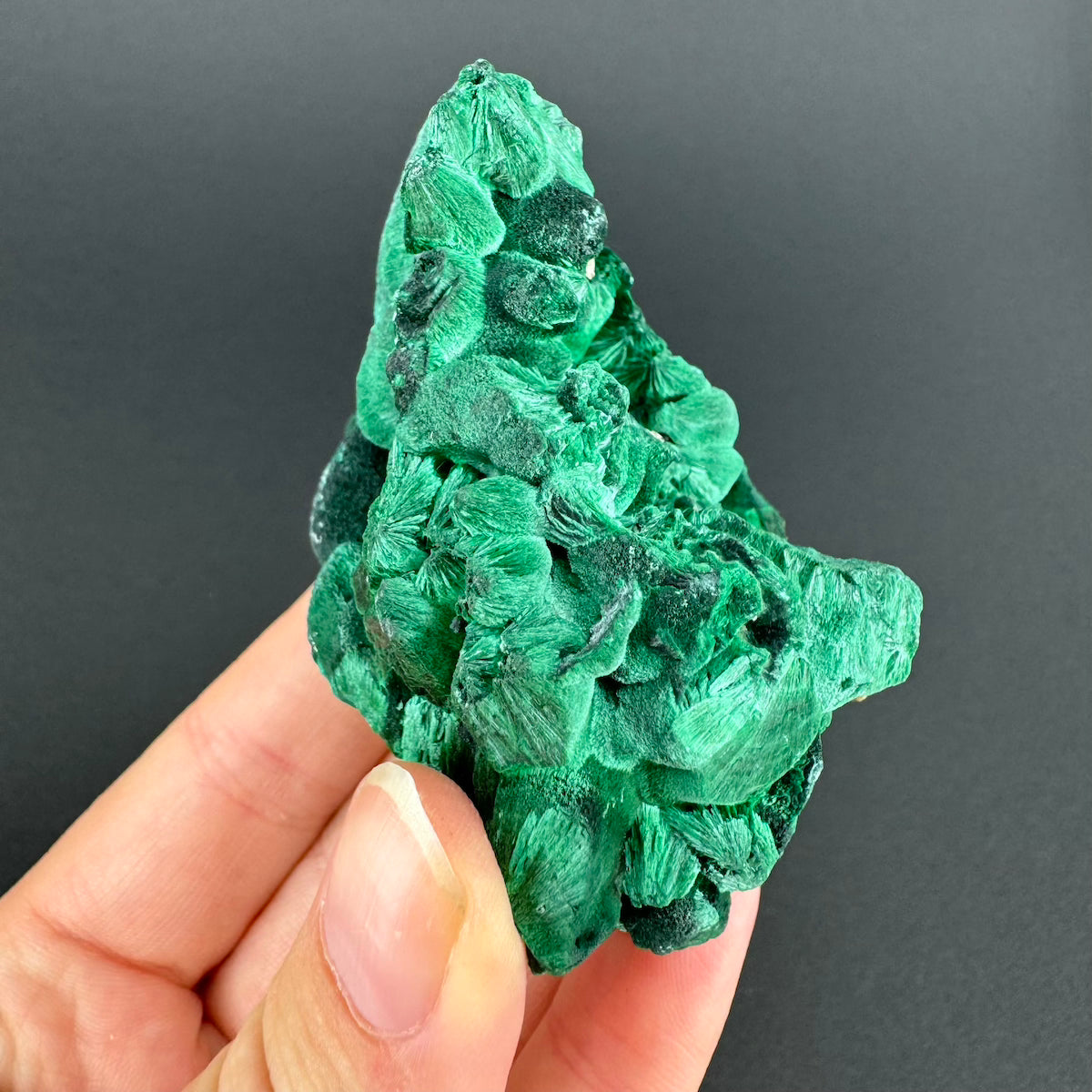 Malachite (Velvet)