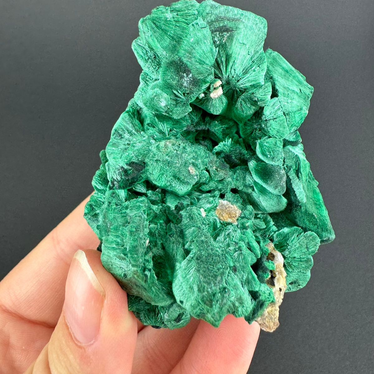 Malachite (Velvet)