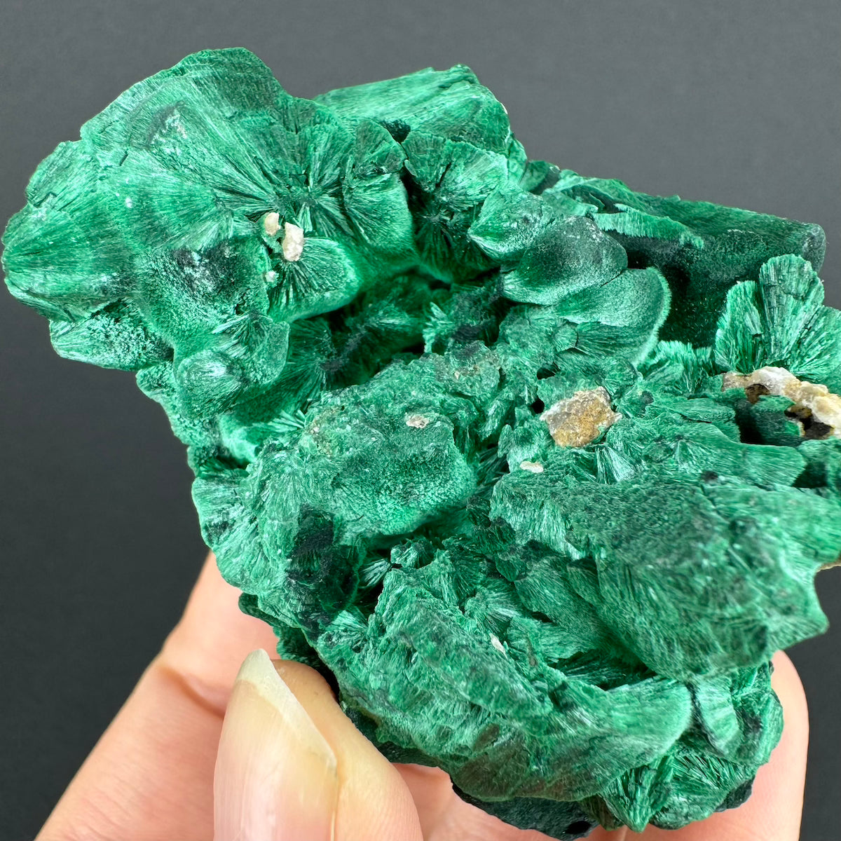 Malachite (Velvet)