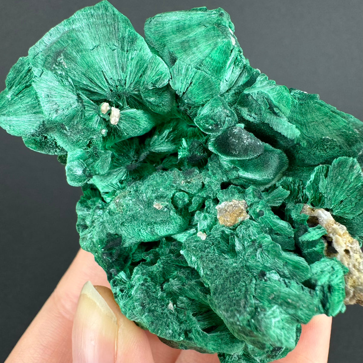 Malachite (Velvet)