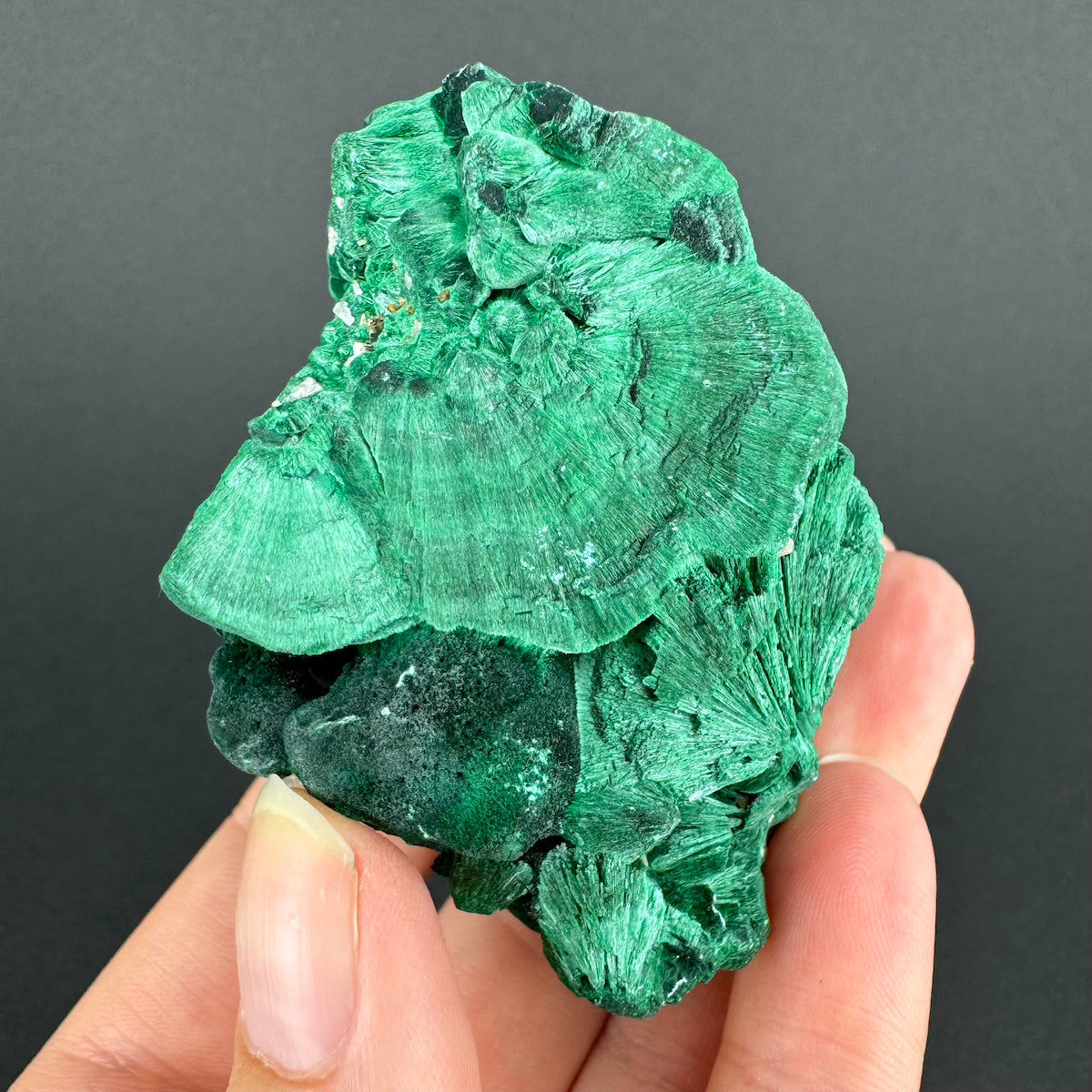 Malachite (Velvet)