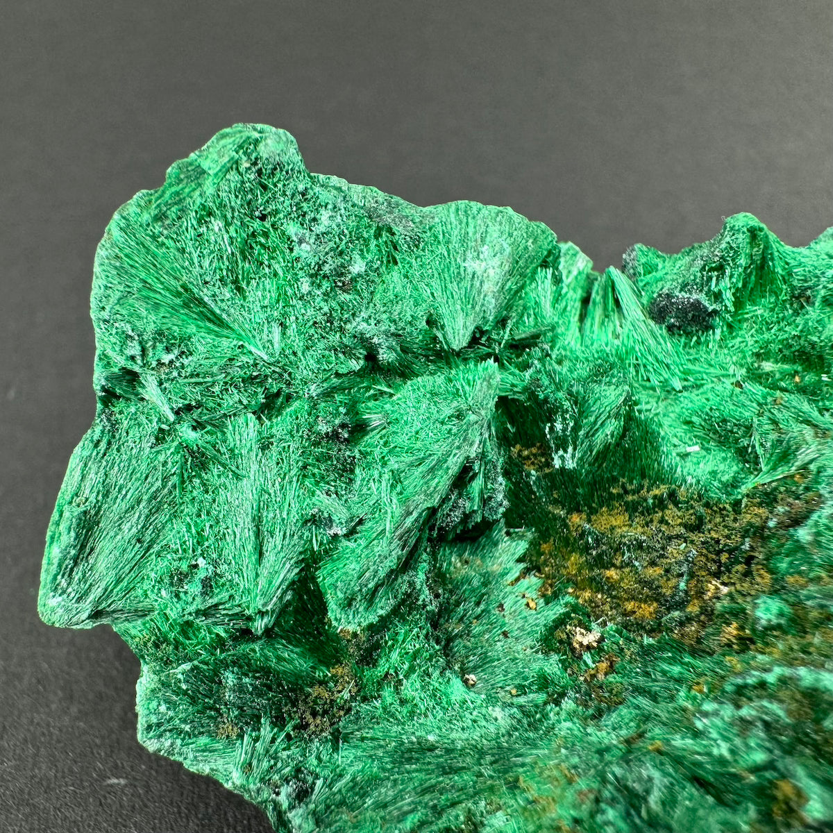 Malachite (Velvet)