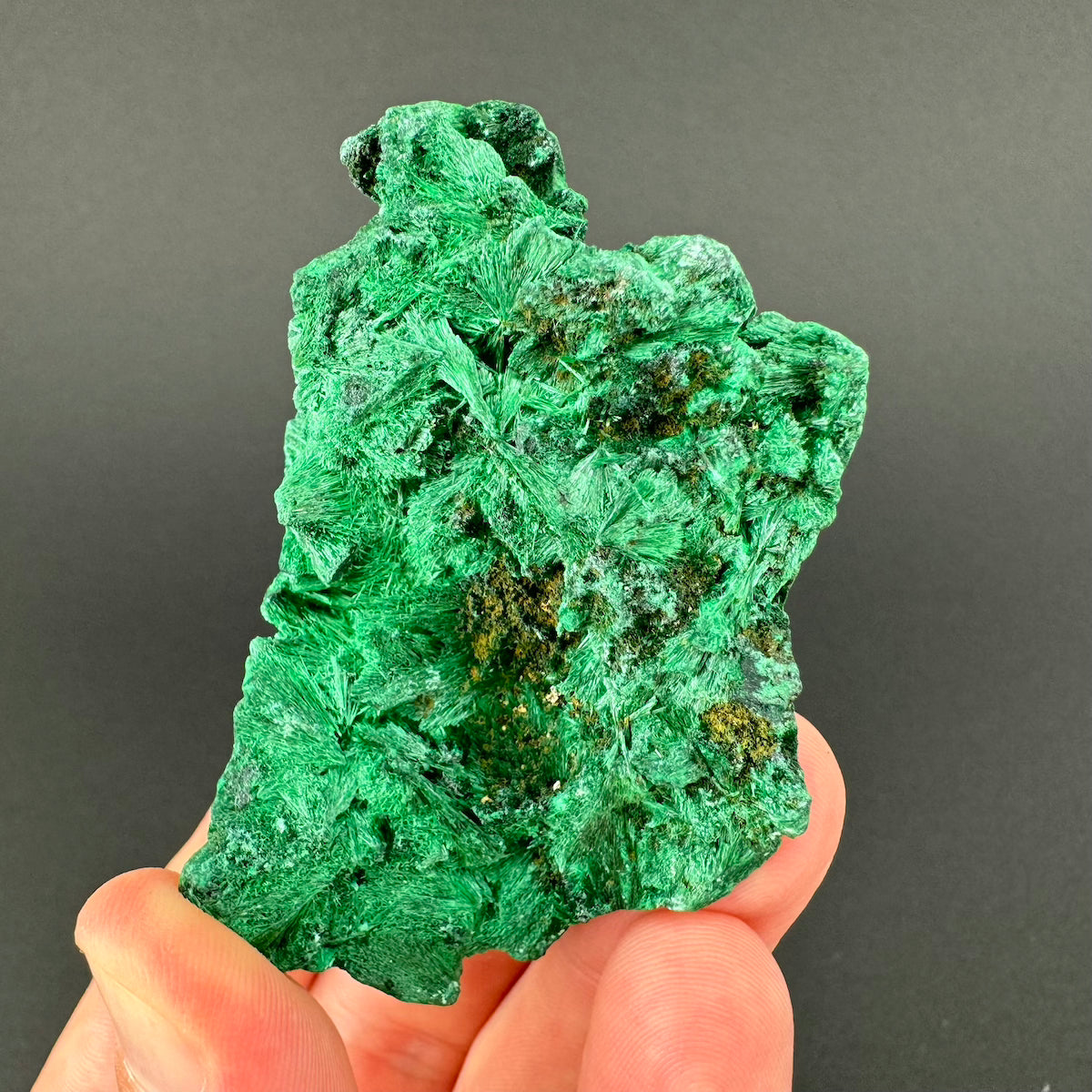 Malachite (Velvet)