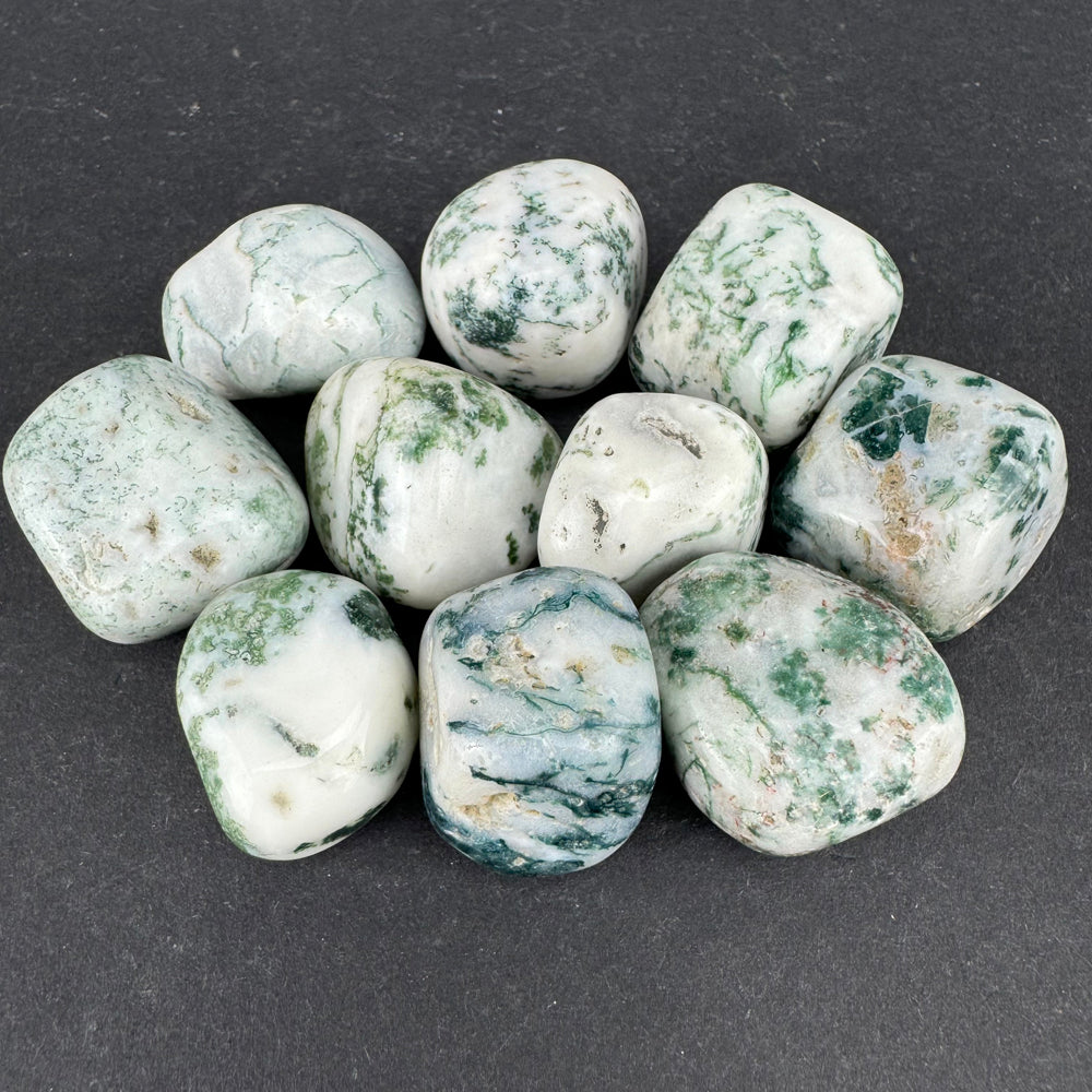 Tree Agate tumbled stone