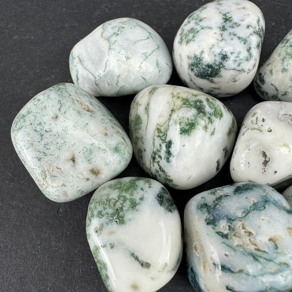 Tree Agate tumbled stone