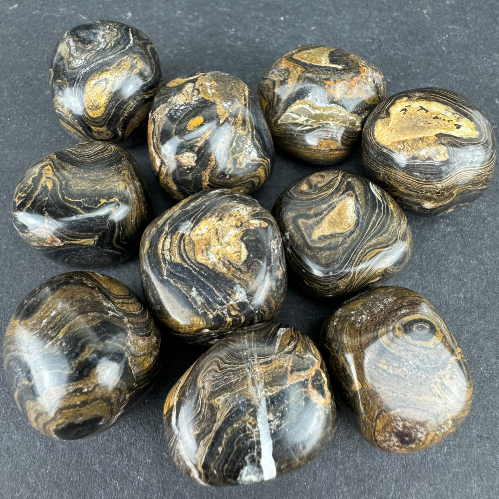 Stromatolite tumbled stone