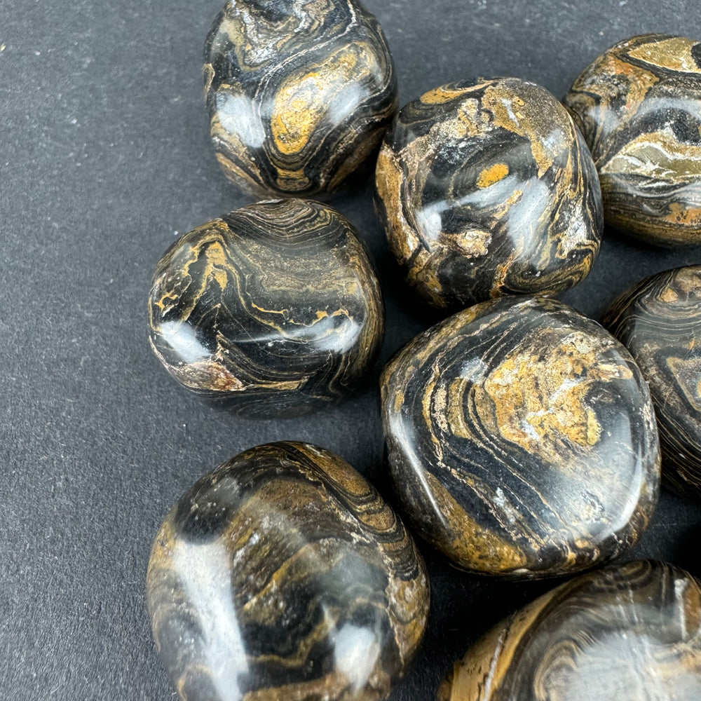 Stromatolite tumbled stone