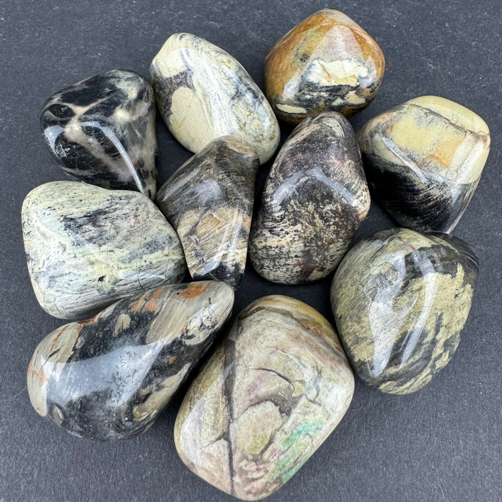 Silver Leaf Jasper tumbled stone