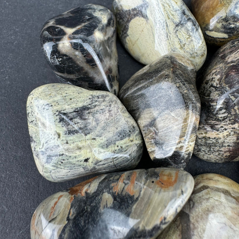 Silver Leaf Jasper tumbled stone