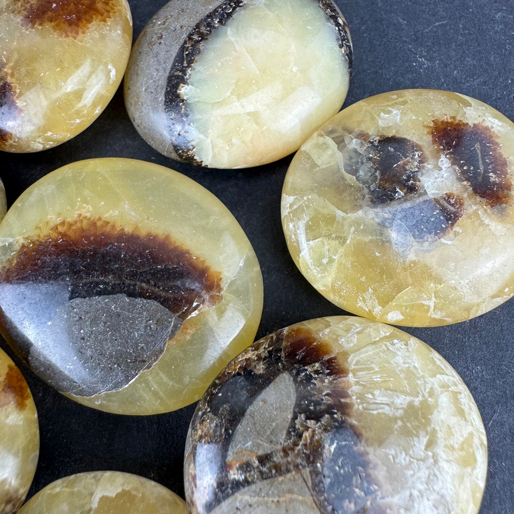 Septarian tumbled stone