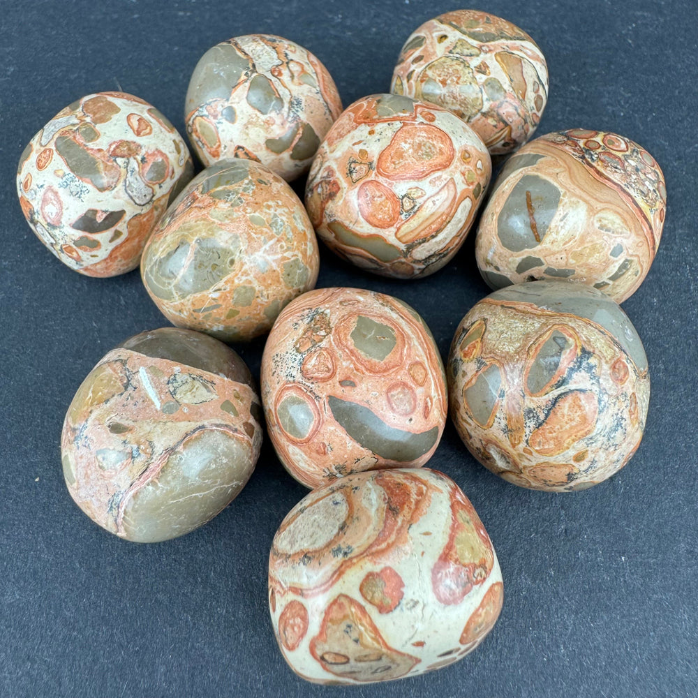 Leopardite Jasper tumbled stone