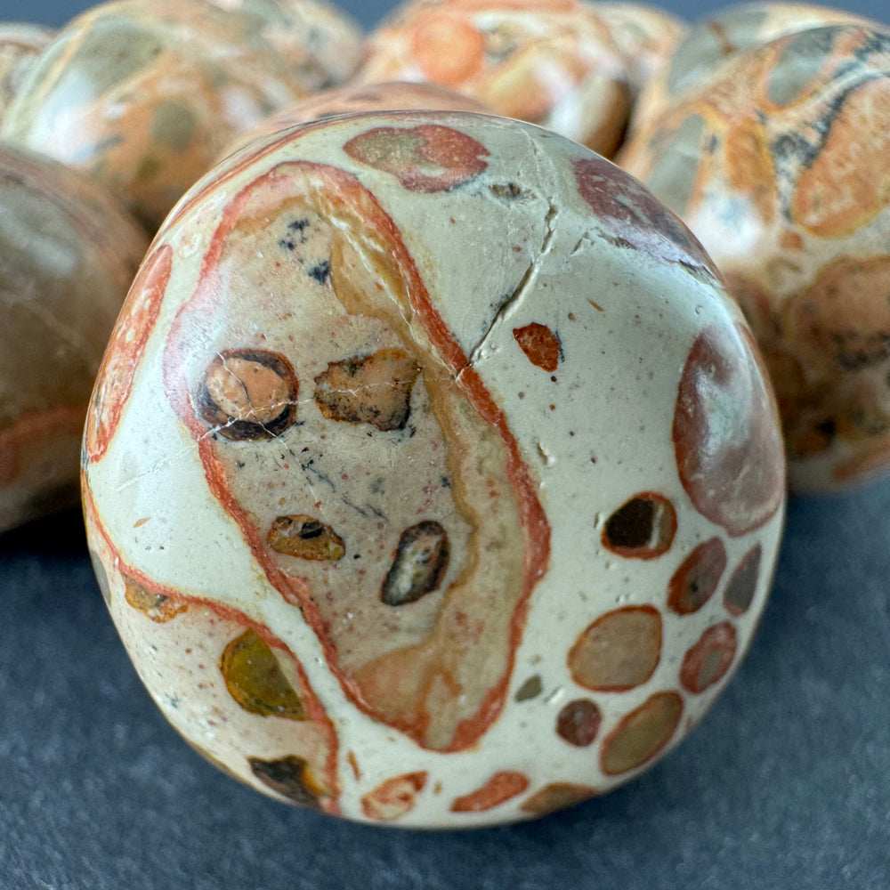 Leopardite Jasper tumbled stone