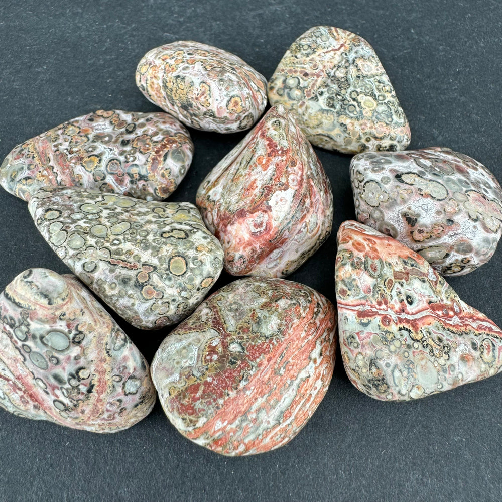 Leopard Skin Jasper tumbled stone