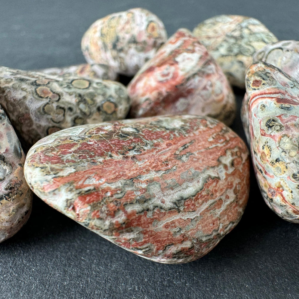 Leopard Skin Jasper tumbled stone