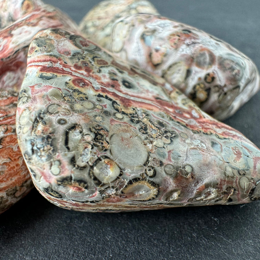 Leopard Skin Jasper tumbled stone