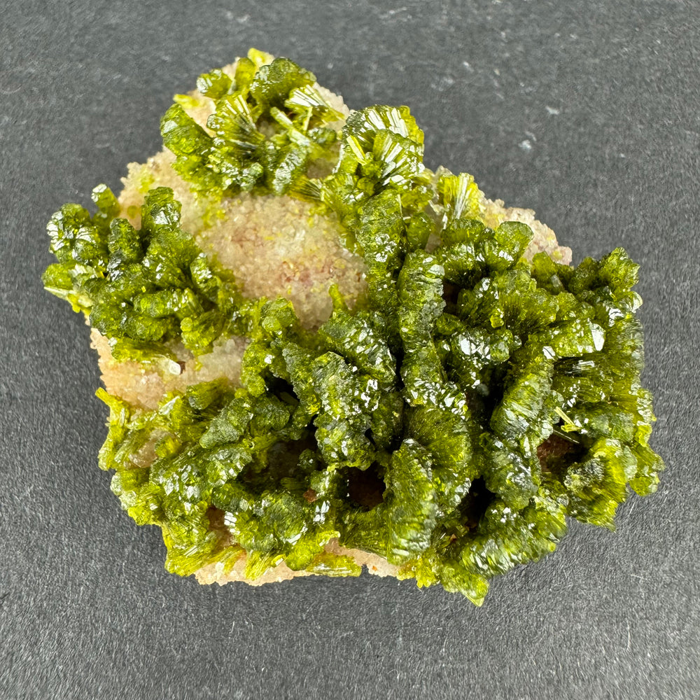 Epidote in Quartz