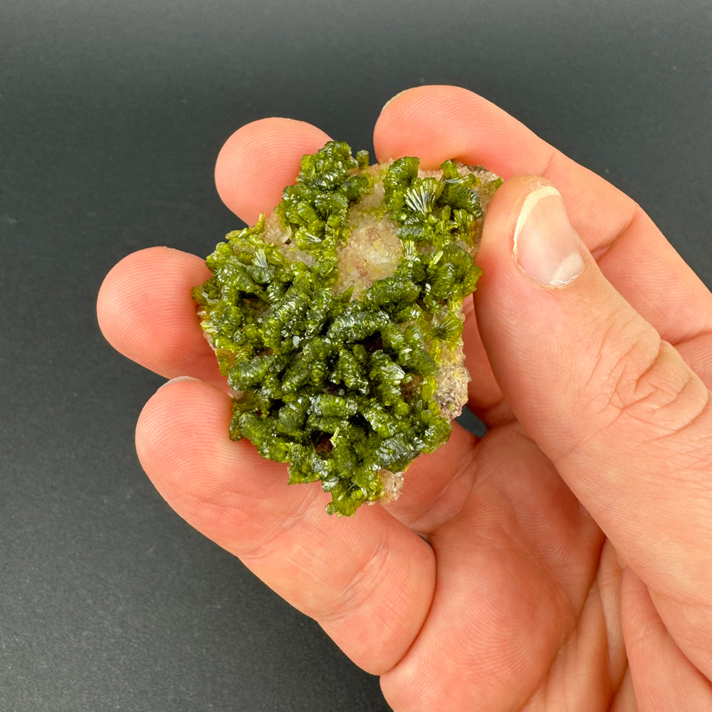 Epidote in Quartz