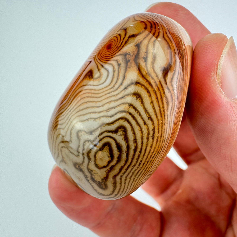 Sardonyx jumbo steen