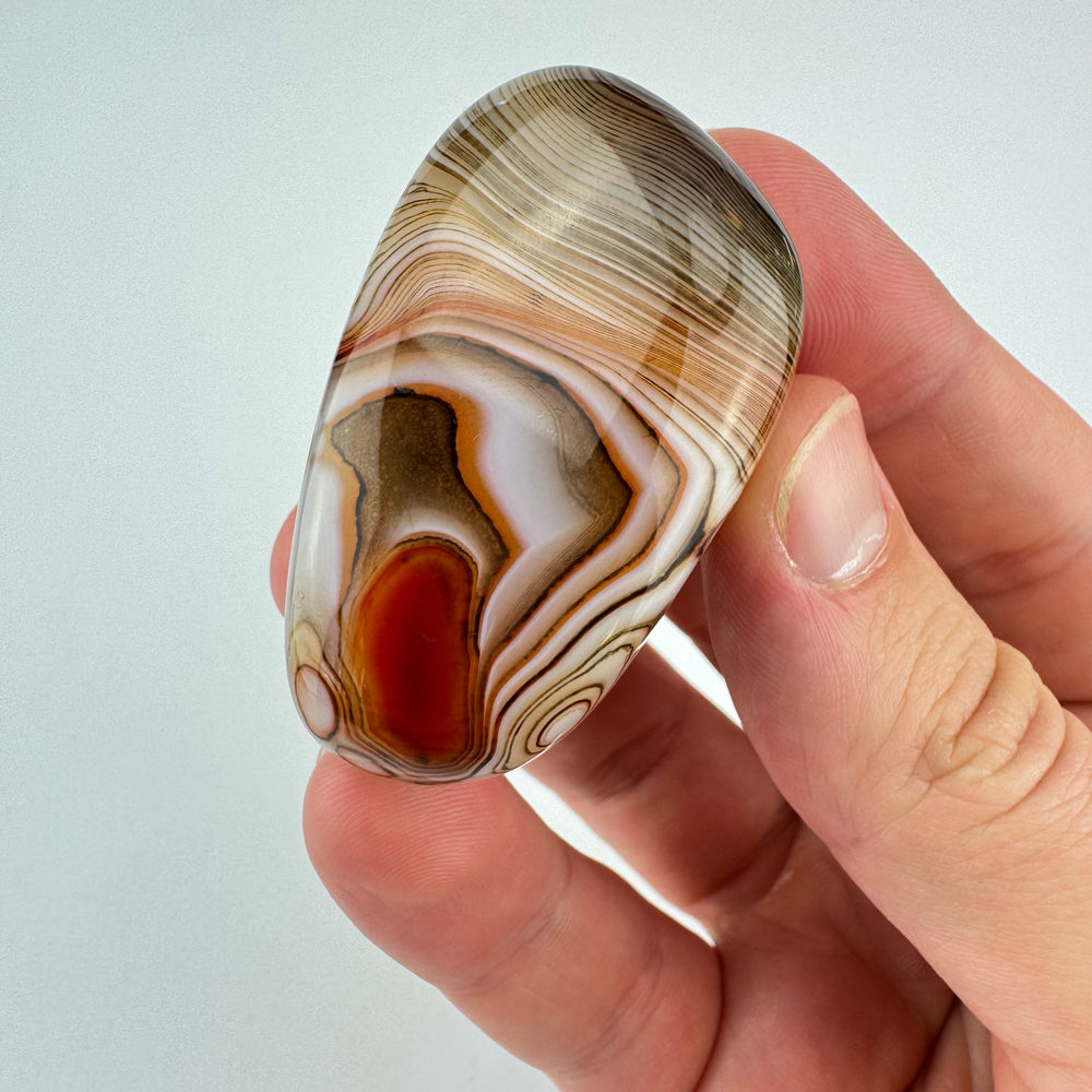 Sardonyx jumbo steen