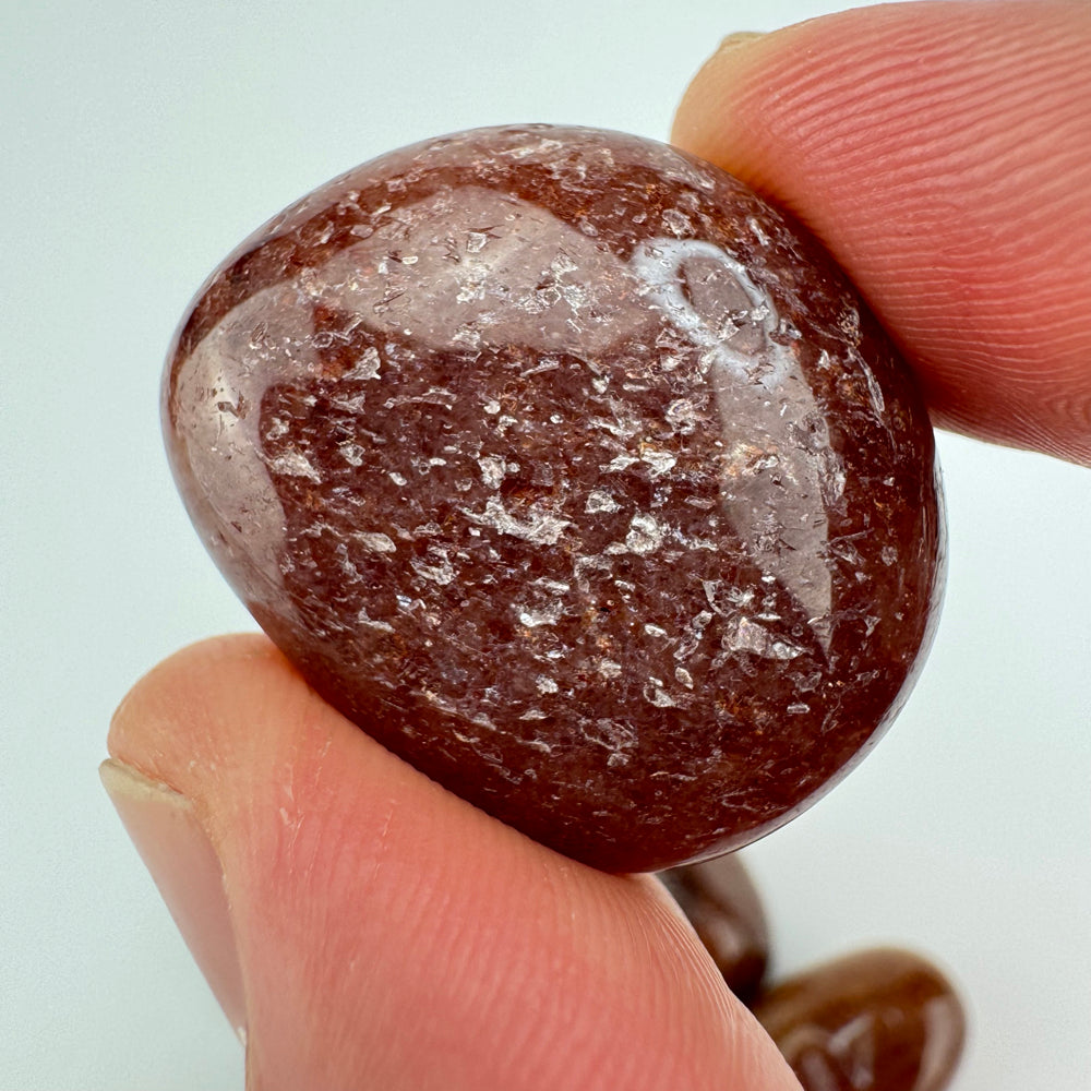 Muscoviet trommelsteen